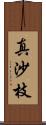 真沙枝 Scroll