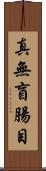 真無盲腸目 Scroll