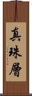 真珠層 Scroll