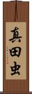 真田虫 Scroll