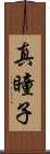 真瞳子 Scroll