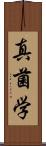 真菌学 Scroll