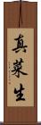 真菜生 Scroll