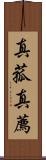 真菰 Scroll