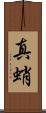 真蛸 Scroll