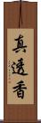 真透香 Scroll