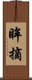 眸摘 Scroll