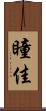 瞳佳 Scroll