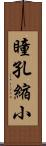 瞳孔縮小 Scroll