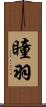 瞳羽 Scroll