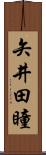 矢井田瞳 Scroll