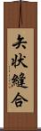 矢状縫合 Scroll