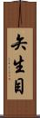 矢生目 Scroll