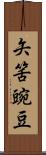 矢筈豌豆 Scroll