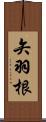矢羽根 Scroll