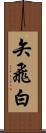 矢飛白 Scroll