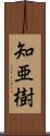 知亜樹 Scroll