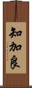 知加良 Scroll