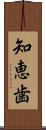 知恵歯 Scroll