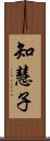 知慧子 Scroll
