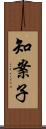 知案子 Scroll