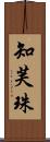 知芙珠 Scroll