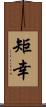 矩幸 Scroll