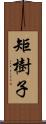 矩樹子 Scroll