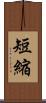 短縮 Scroll