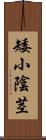 矮小陰茎 Scroll