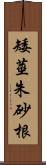 矮莖朱砂根 Scroll