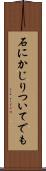 石にかじりついてでも Scroll