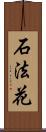 石法花 Scroll