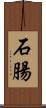 石腸 Scroll