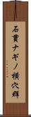 石貫ナギノ横穴群 Scroll