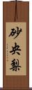 砂央梨 Scroll