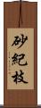 砂紀枝 Scroll