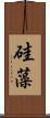 硅藻 Scroll