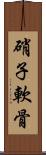 硝子軟骨 Scroll