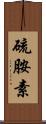 硫胺素 Scroll