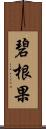碧根果 Scroll