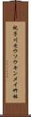 祝子川モウソウキンメイ竹林 Scroll