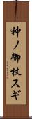神ノ御杖スギ Scroll
