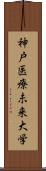 神戸医療未来大学 Scroll