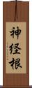 神経根 Scroll