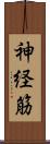 神経筋 Scroll