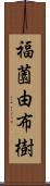 福薗由布樹 Scroll