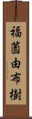 福薗由布樹 Scroll