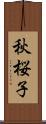 秋桜子 Scroll