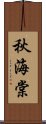 秋海棠 Scroll